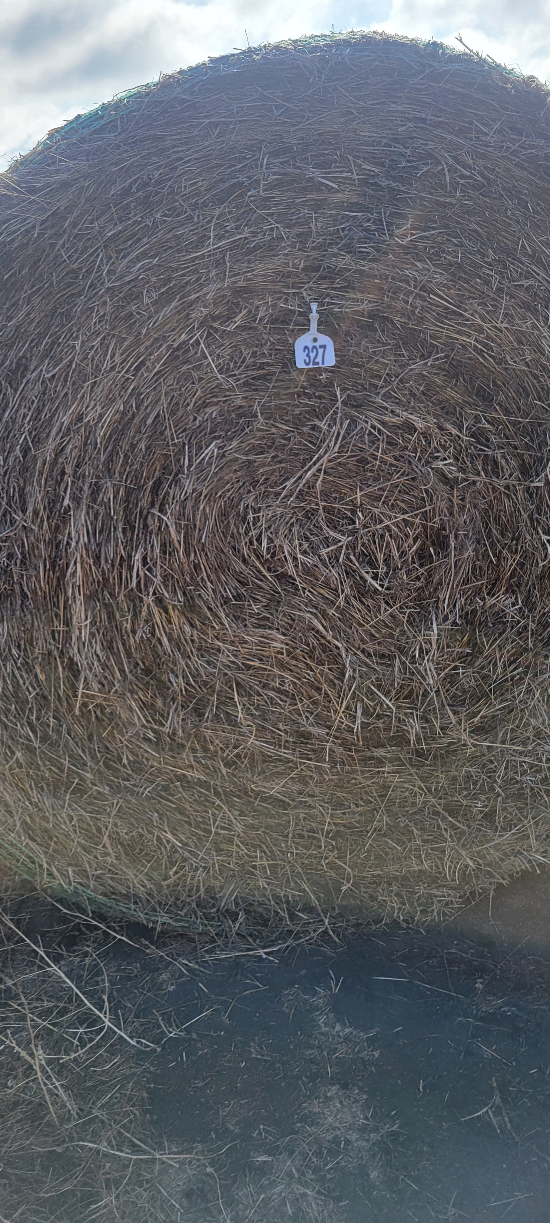 Lot 327 - Grass Rounds