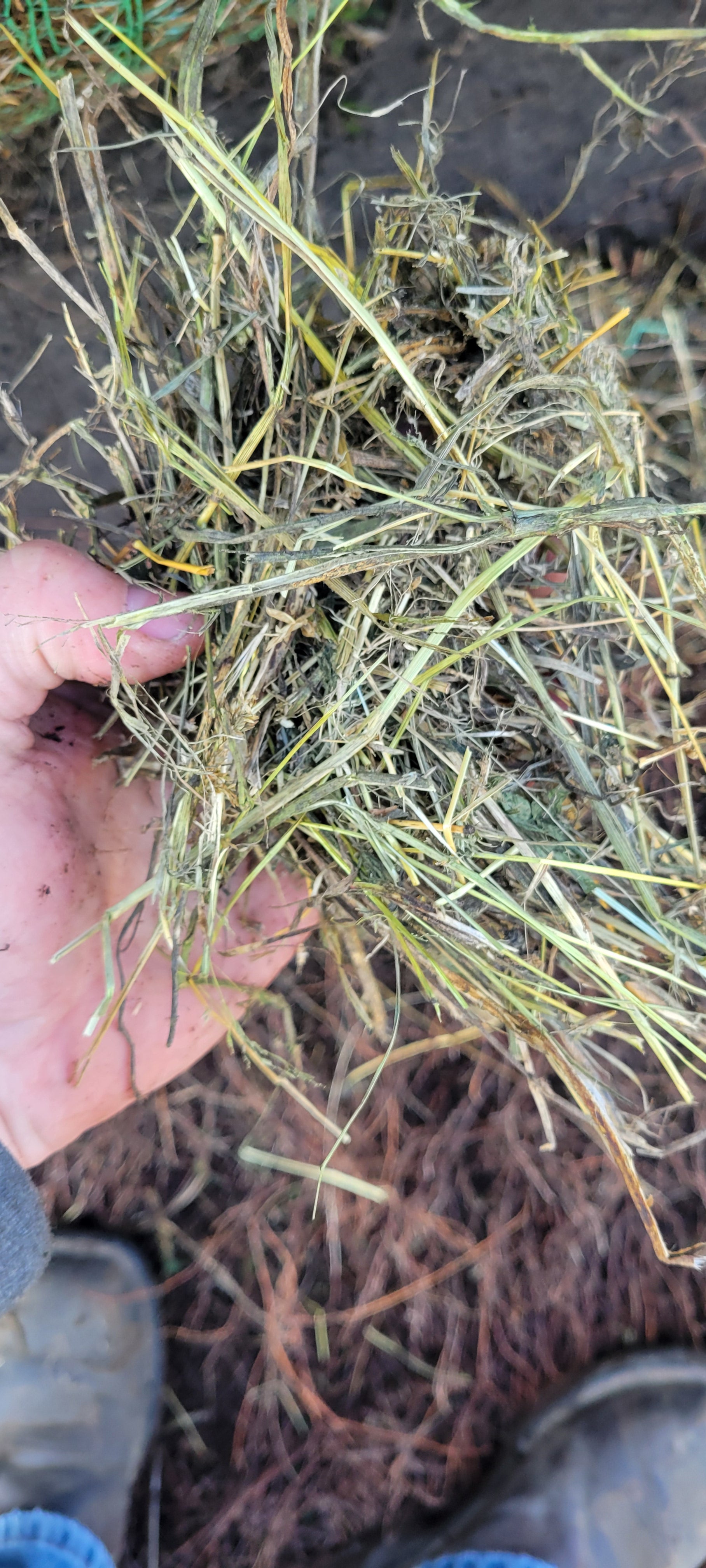 Lot 327 - Grass Rounds