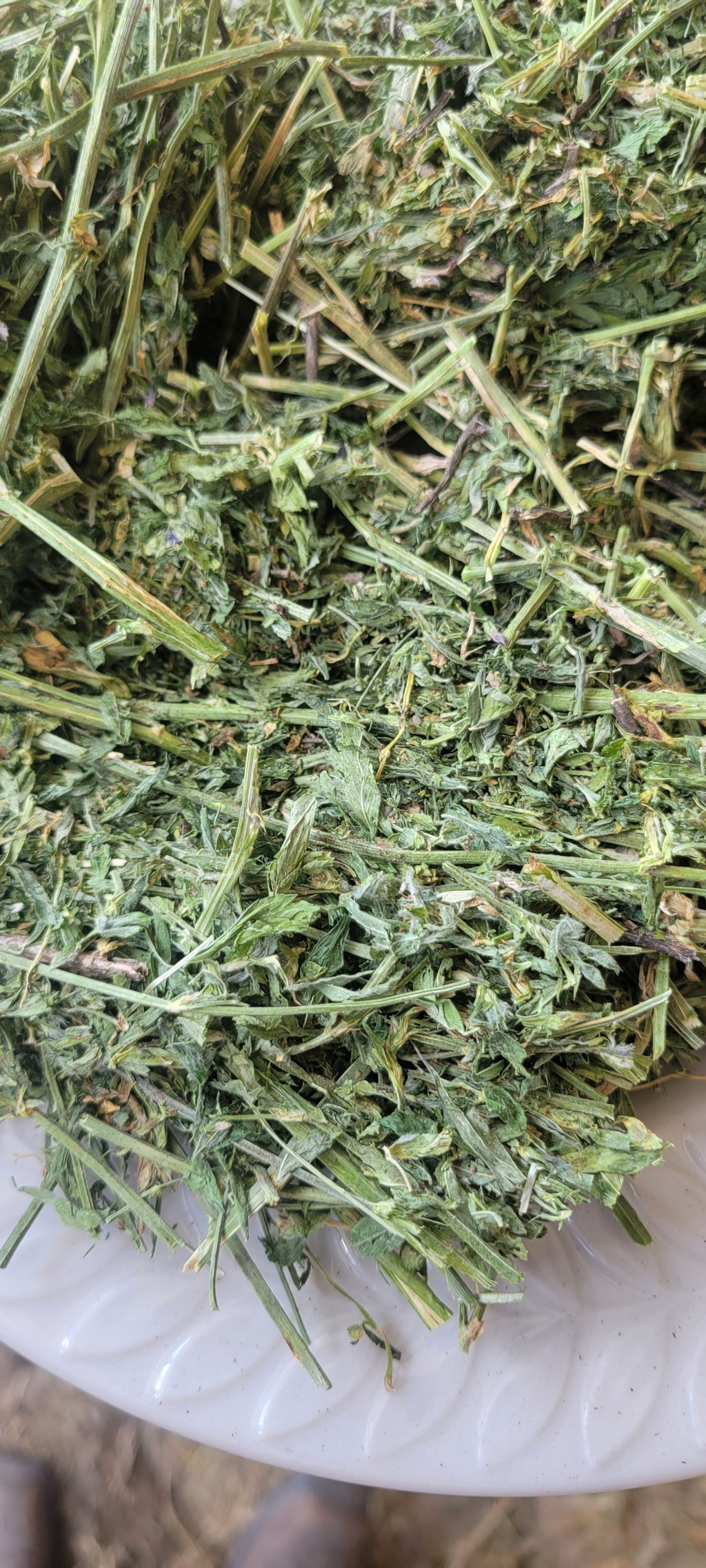 Lot 454 - 170 RFV Alfalfa