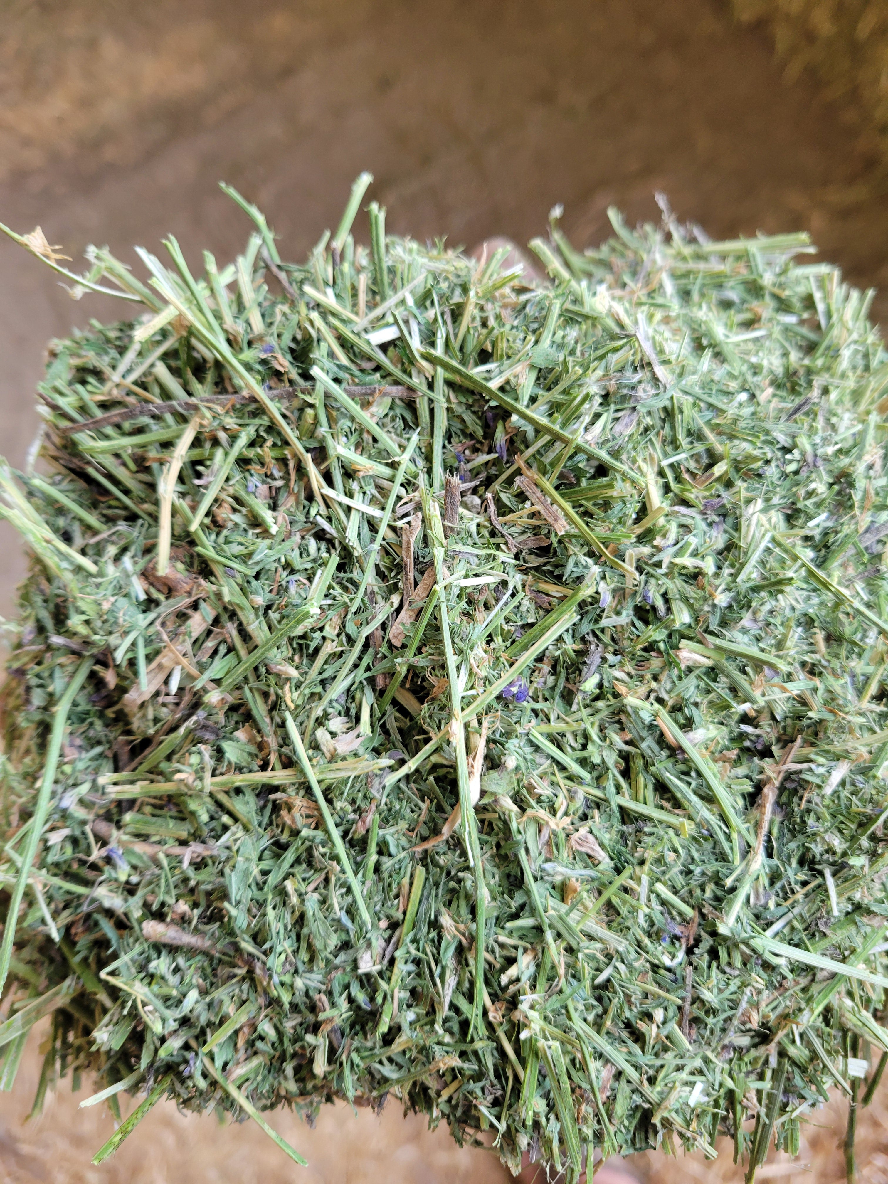 Lot 484