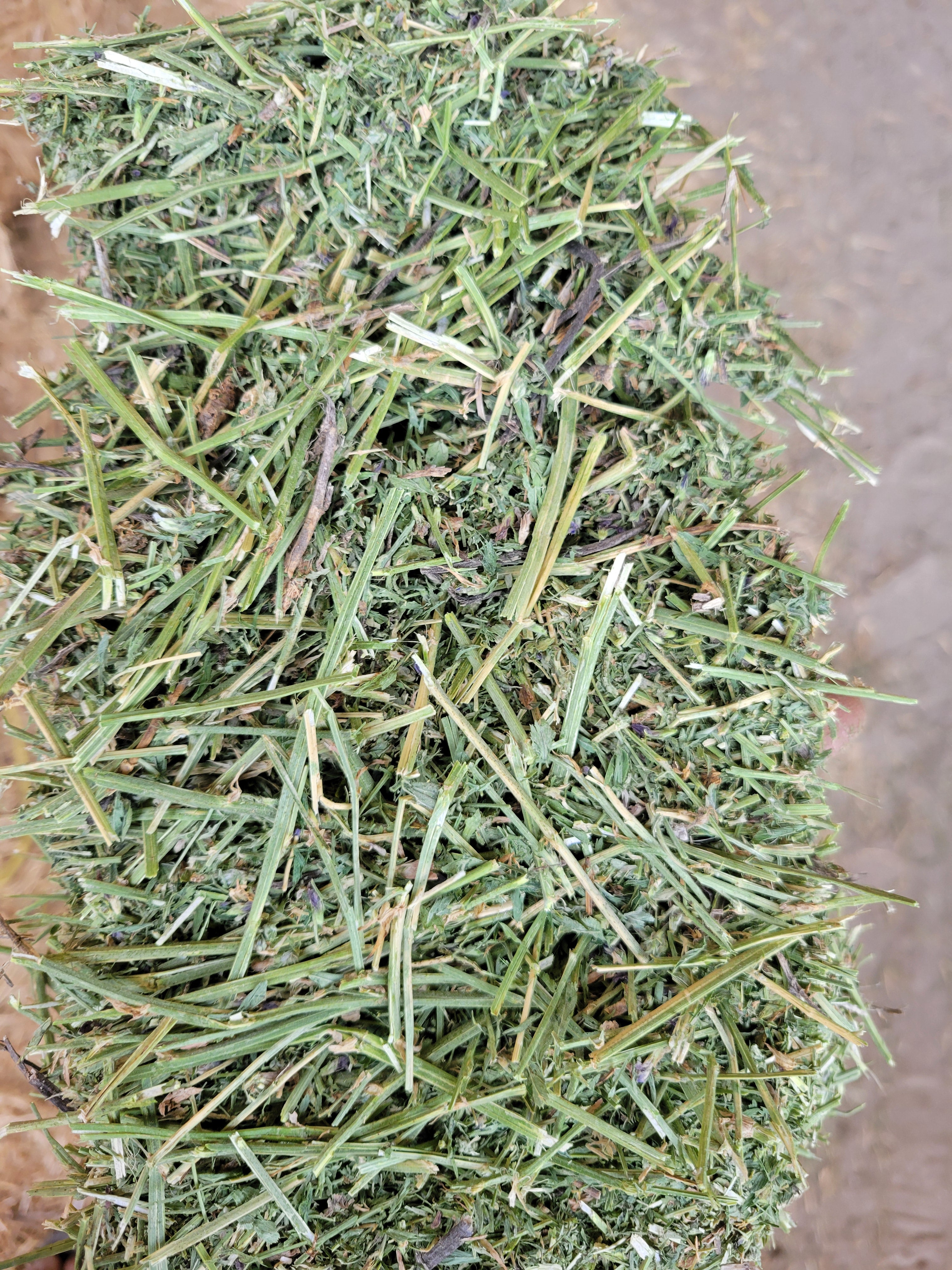 Lot 484