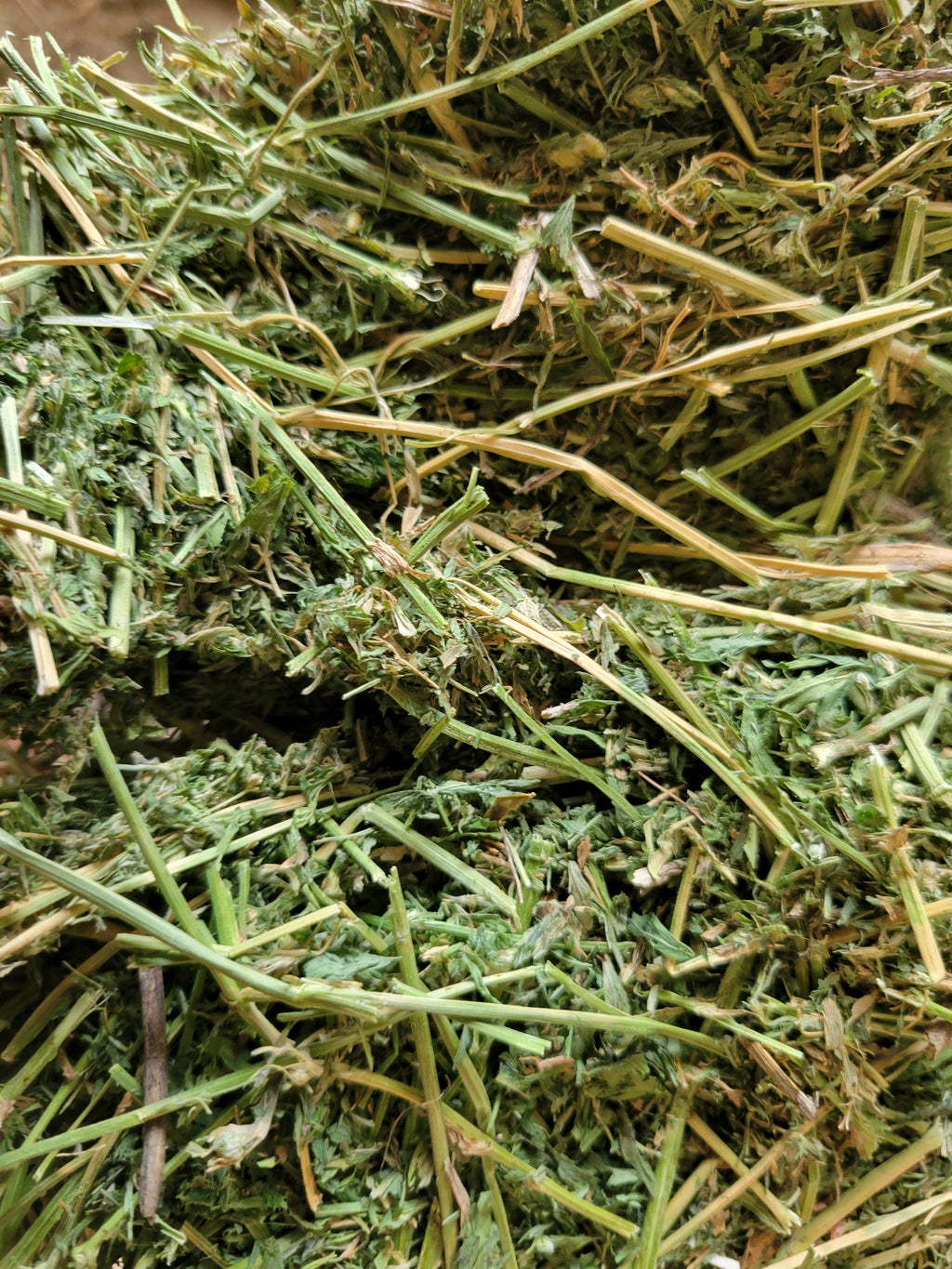 Lot 480 - 160 RFV Alfalfa