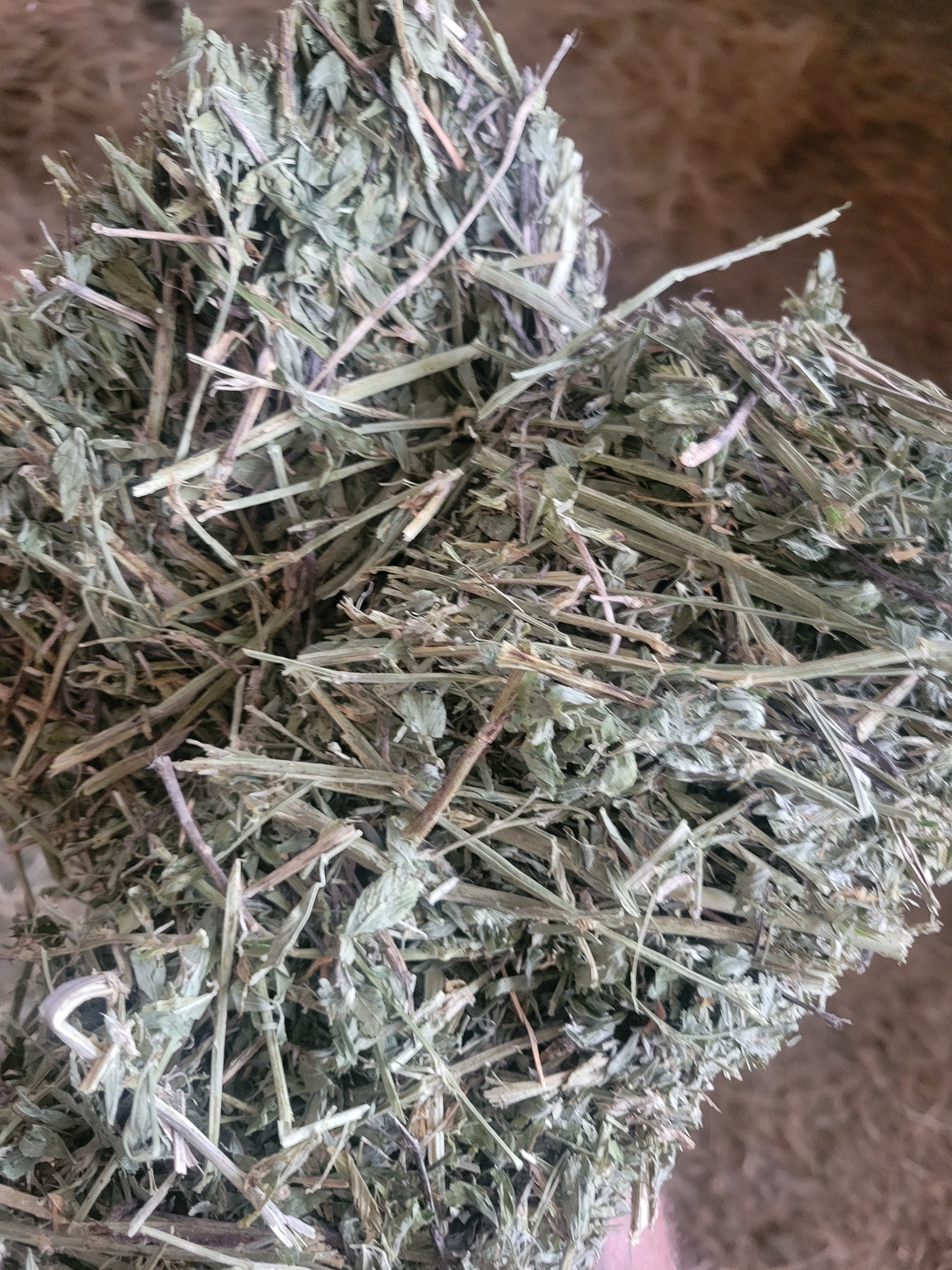 Lot 455