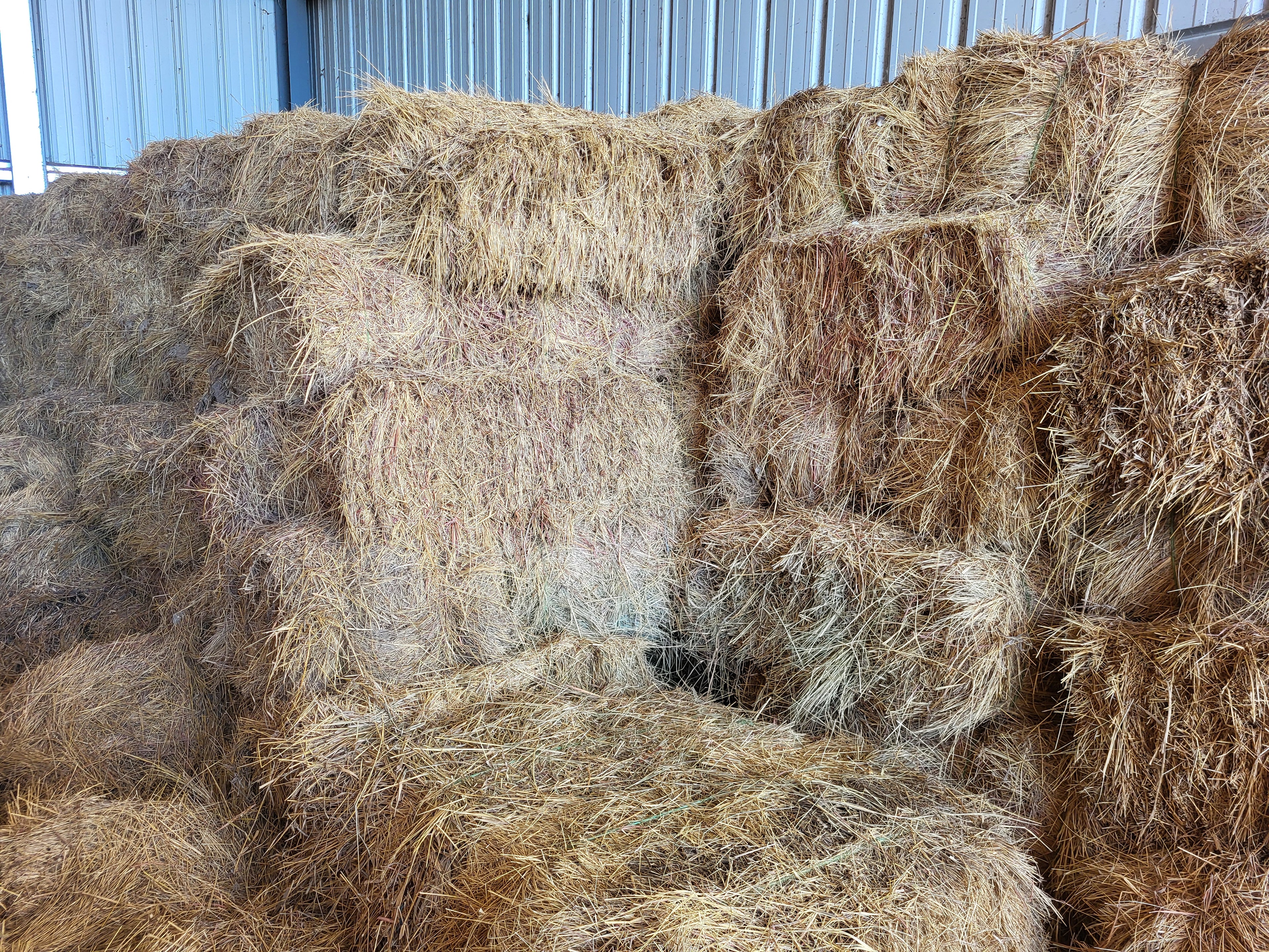 Lot 324