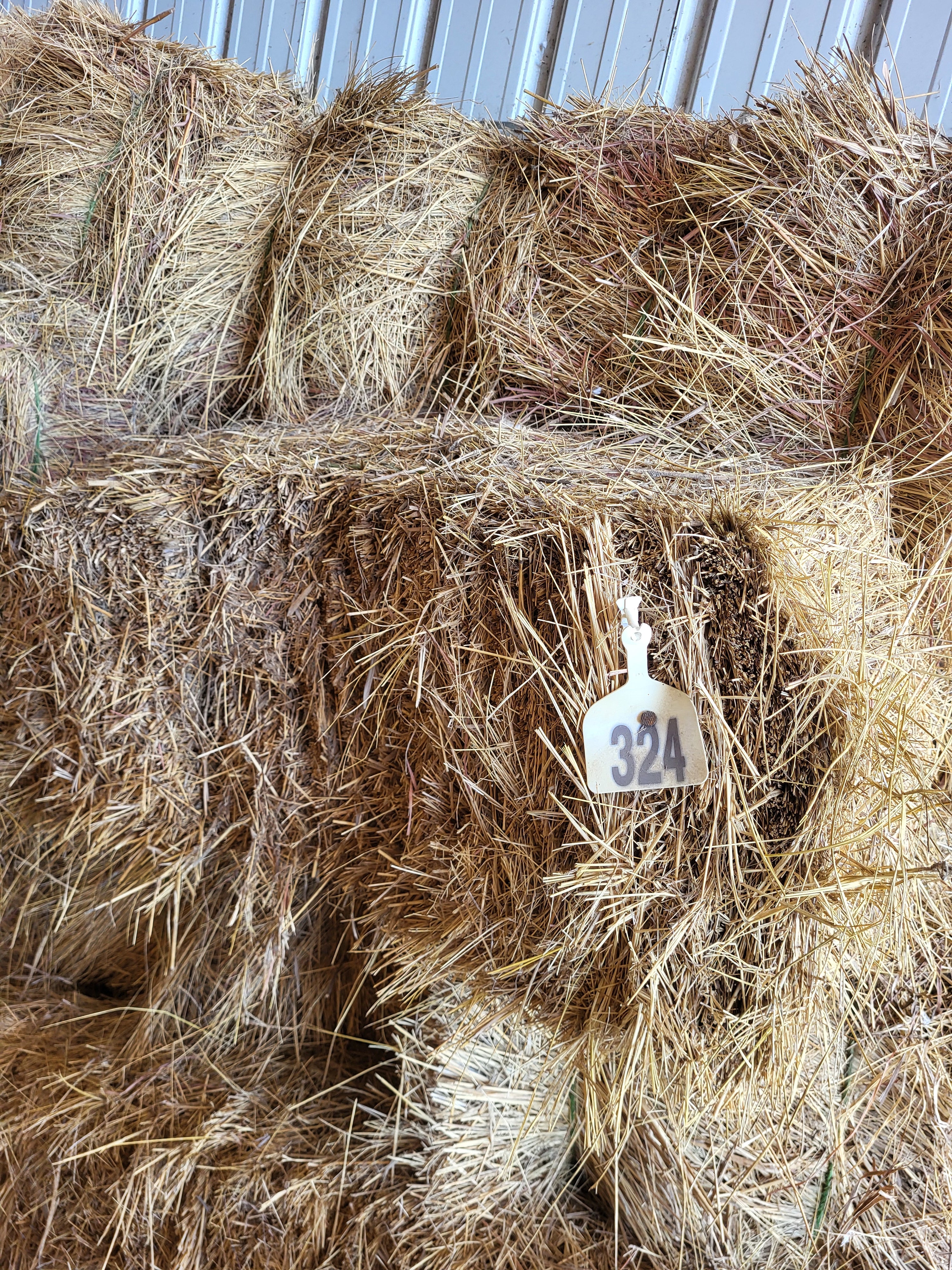 Lot 324
