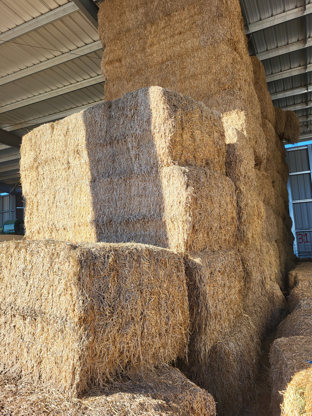 Lot 323 - 130 RFV Alfalfa