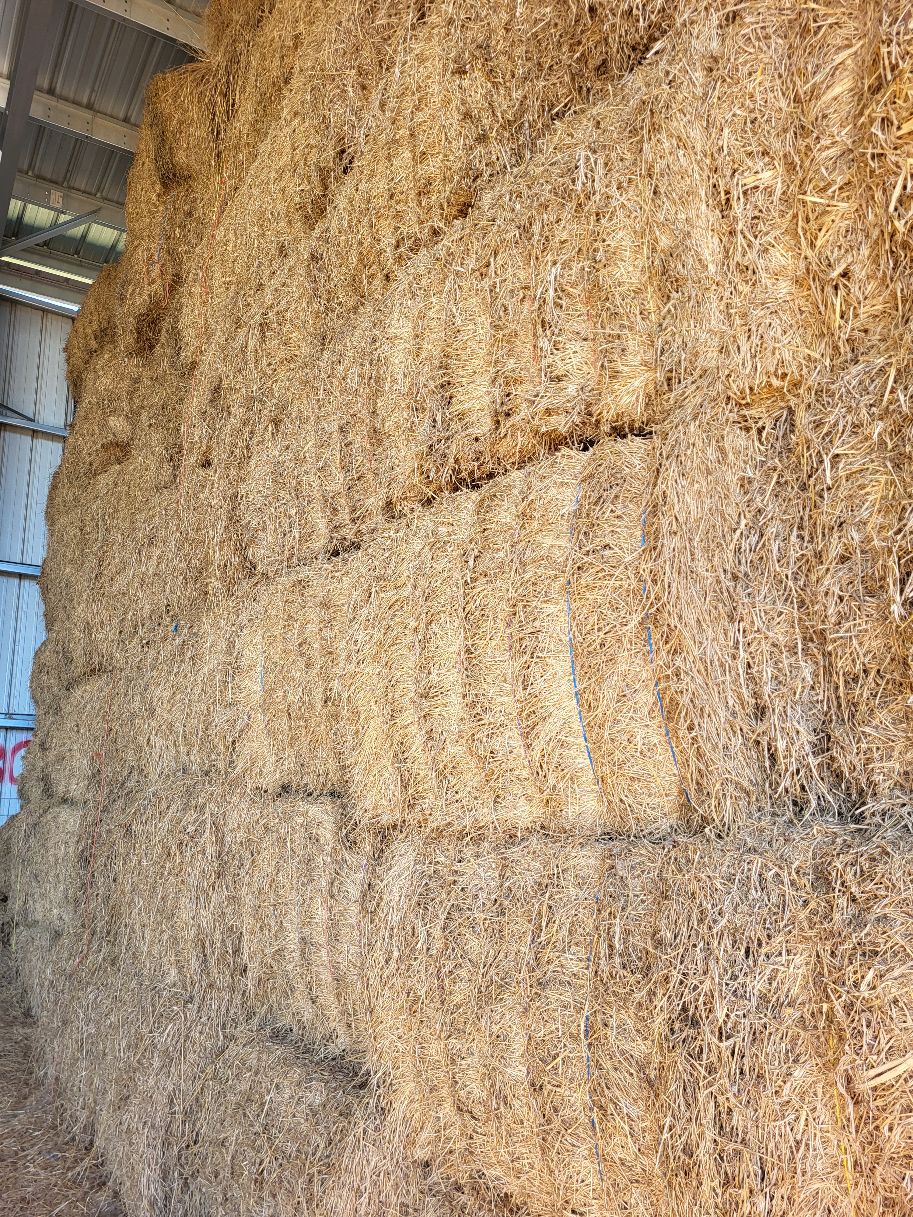 Lot 323 - 130 RFV Alfalfa