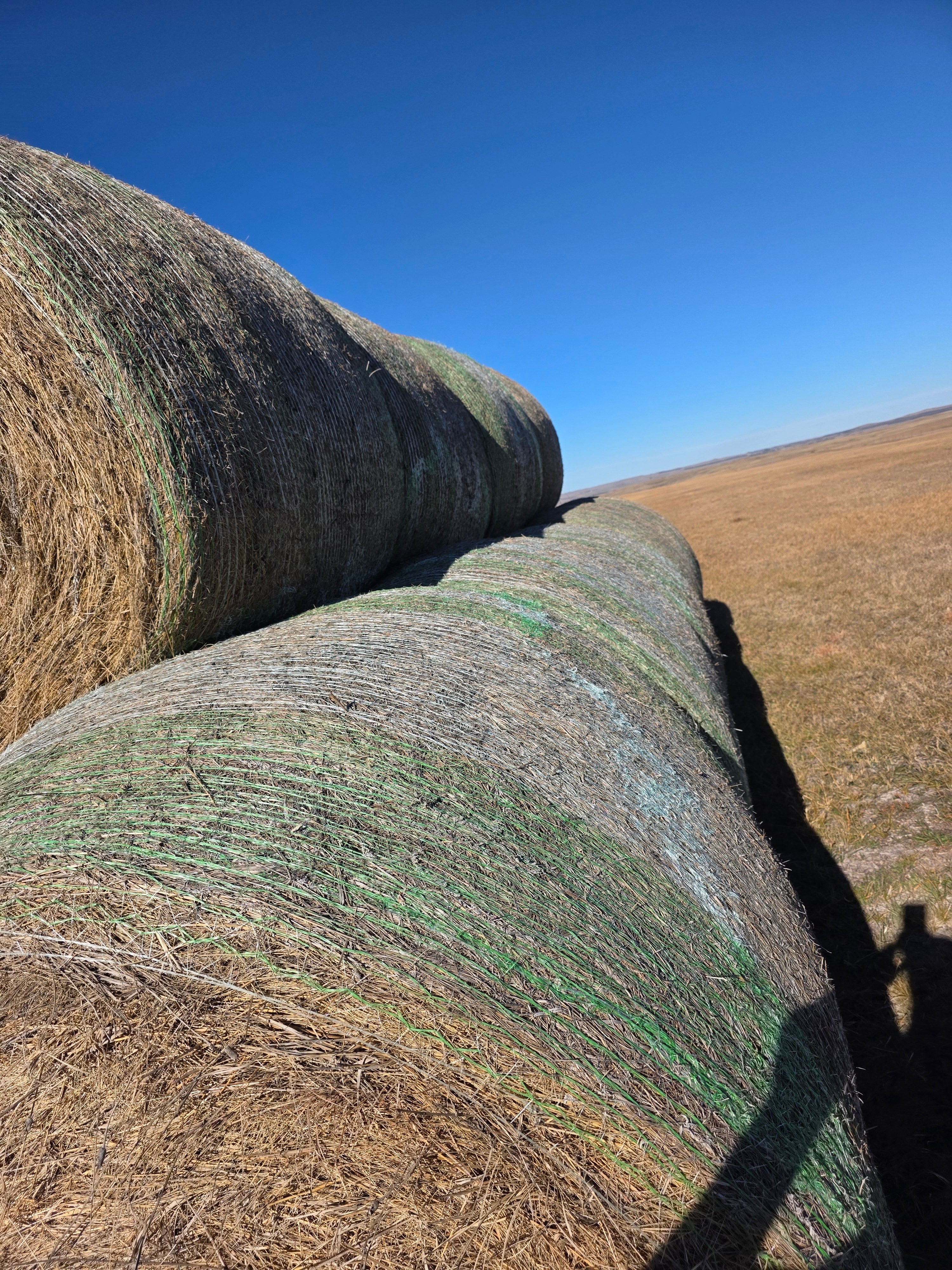 Lot 228 - Native Prairie