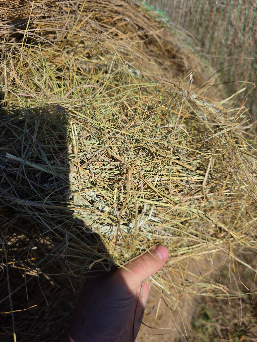 Lot 228 - Native Prairie