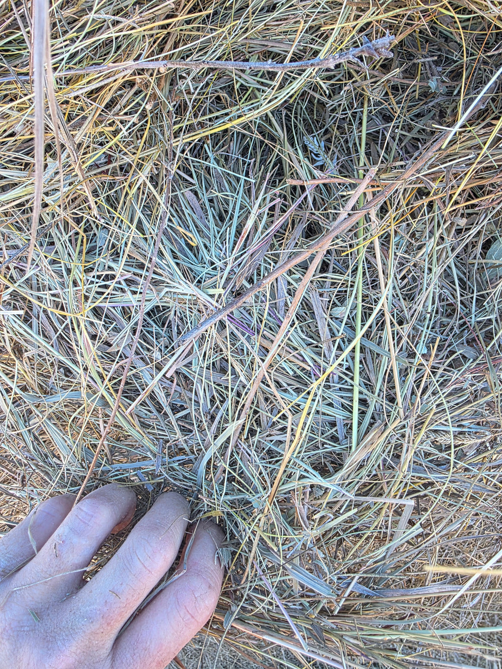 Lot 228 - Native Prairie