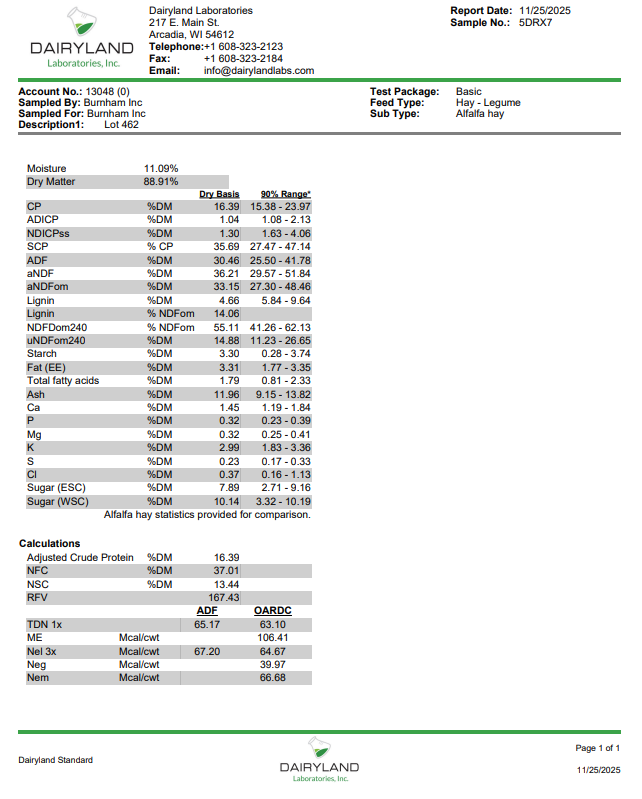 Lot 462 - 170 RFV Alfalfa