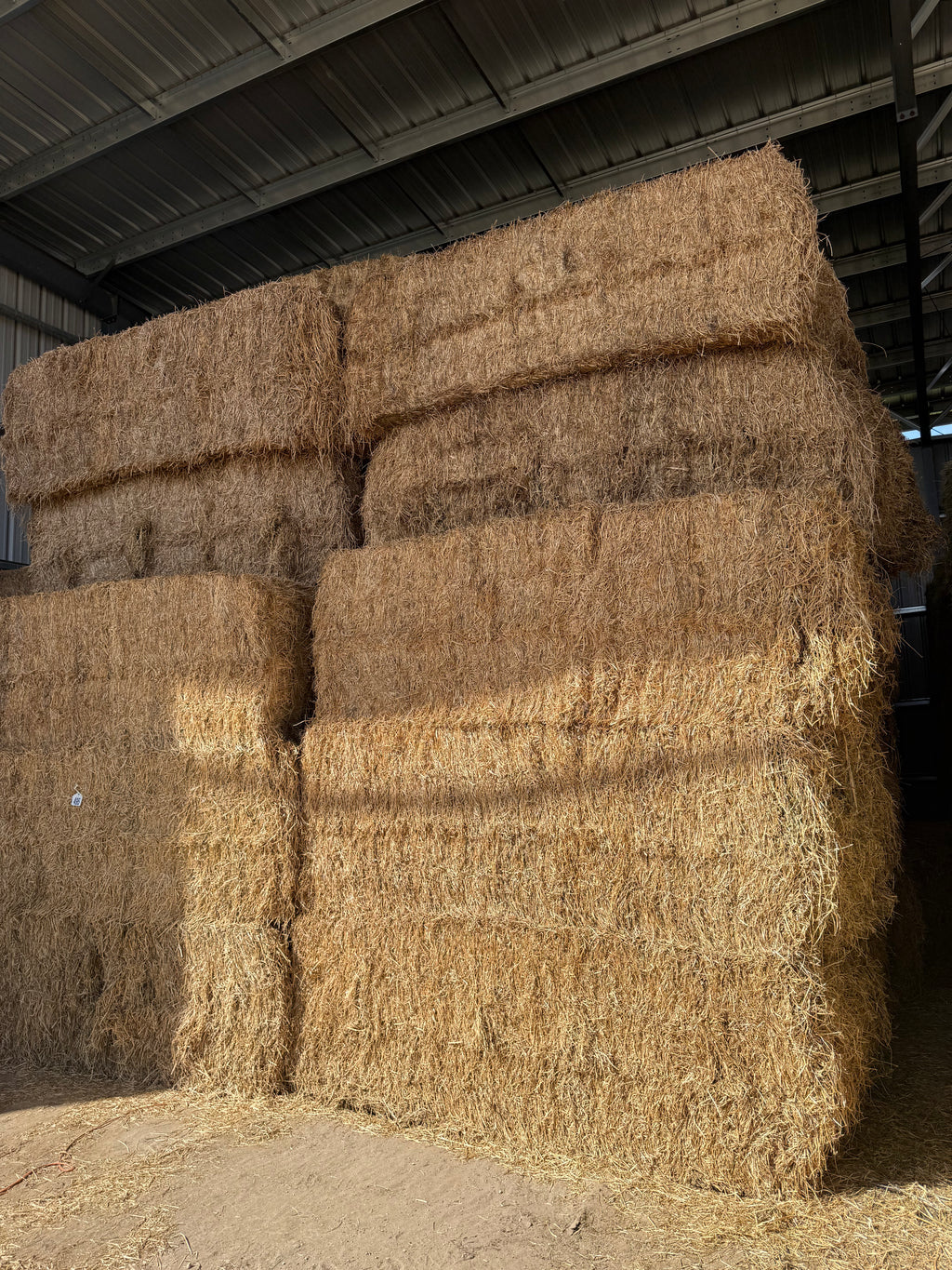 Lot 495 - 130 RFV Alfalfa