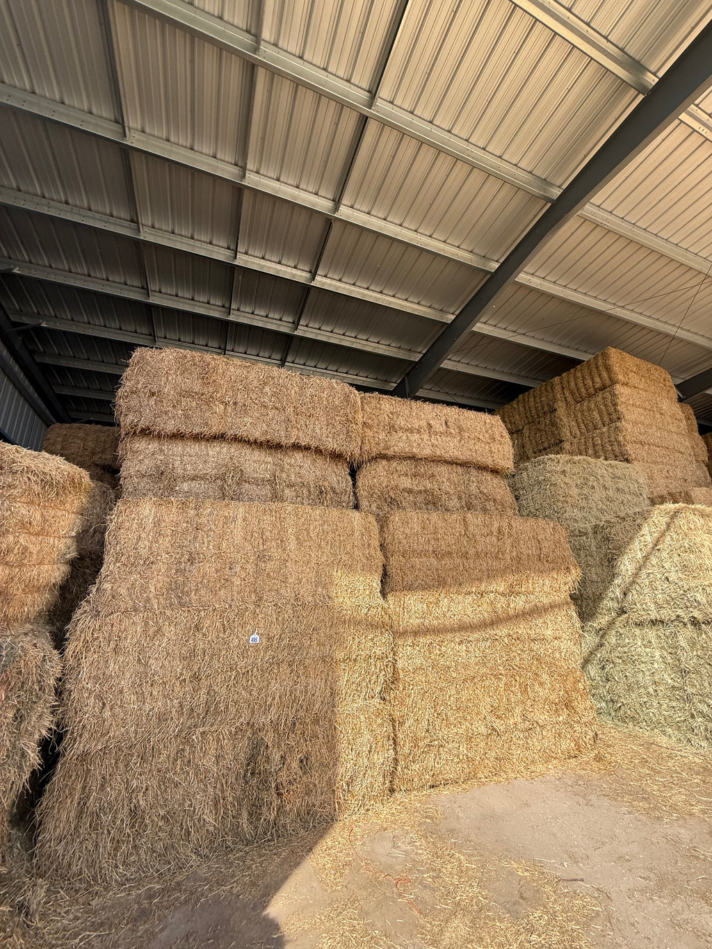 Lot 495 - 130 RFV Alfalfa