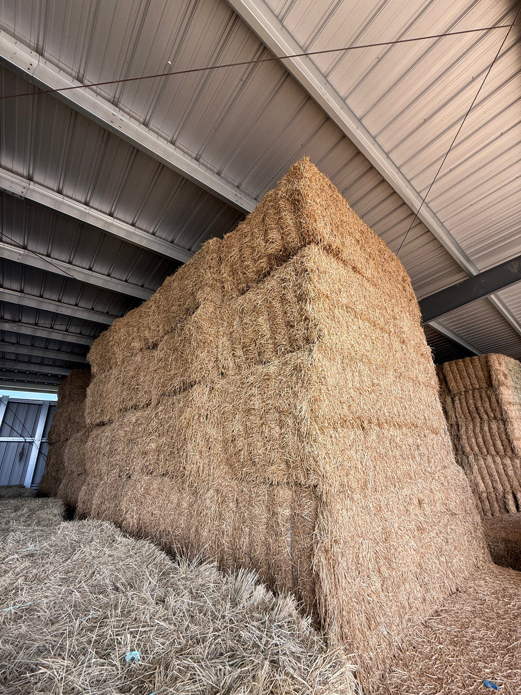 Lot 496