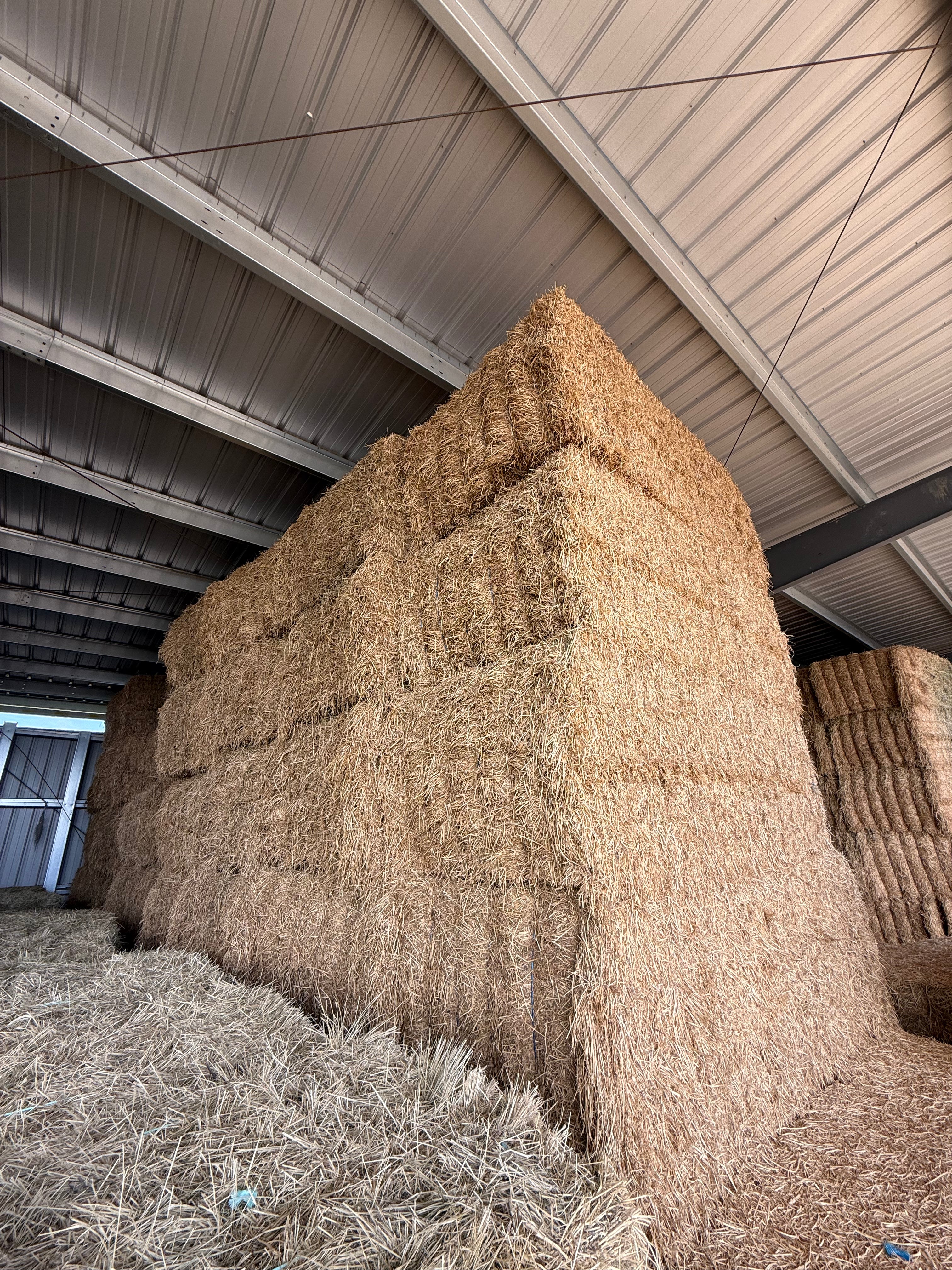 Lot 496