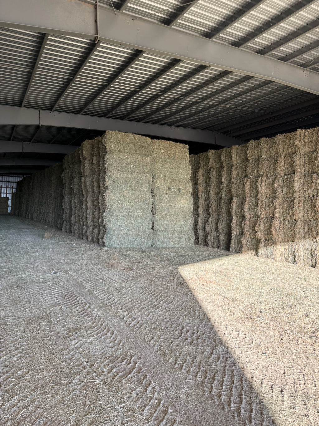 T001 - Premium Mixed Grass