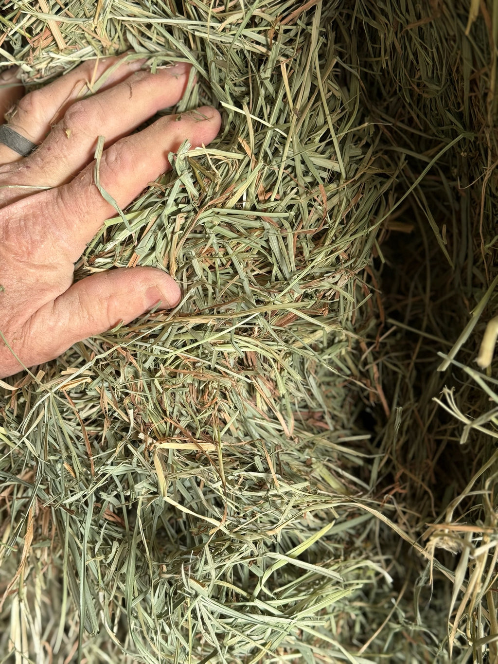 T001 - Premium Mixed Grass