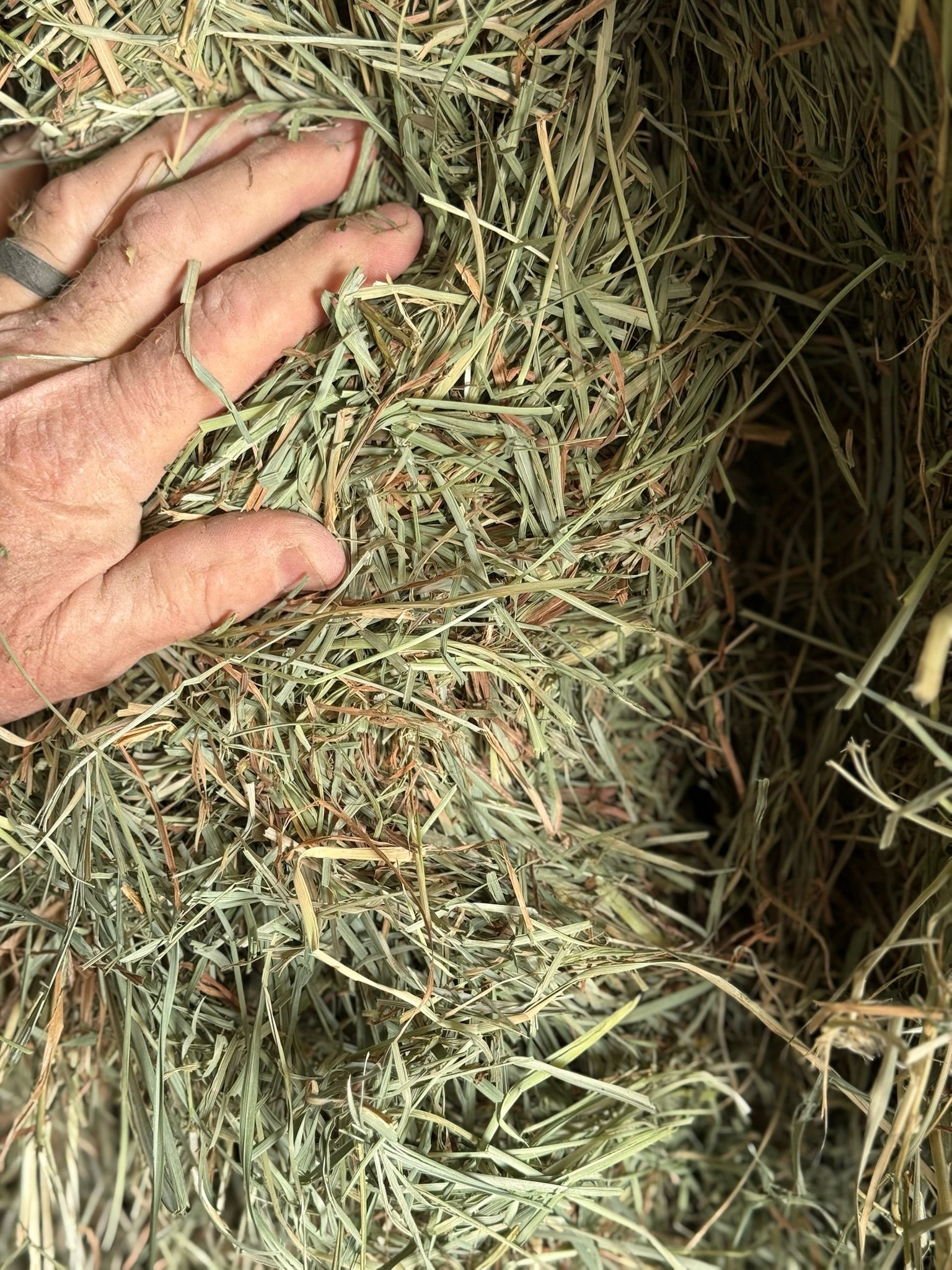 T001 - Premium Mixed Grass