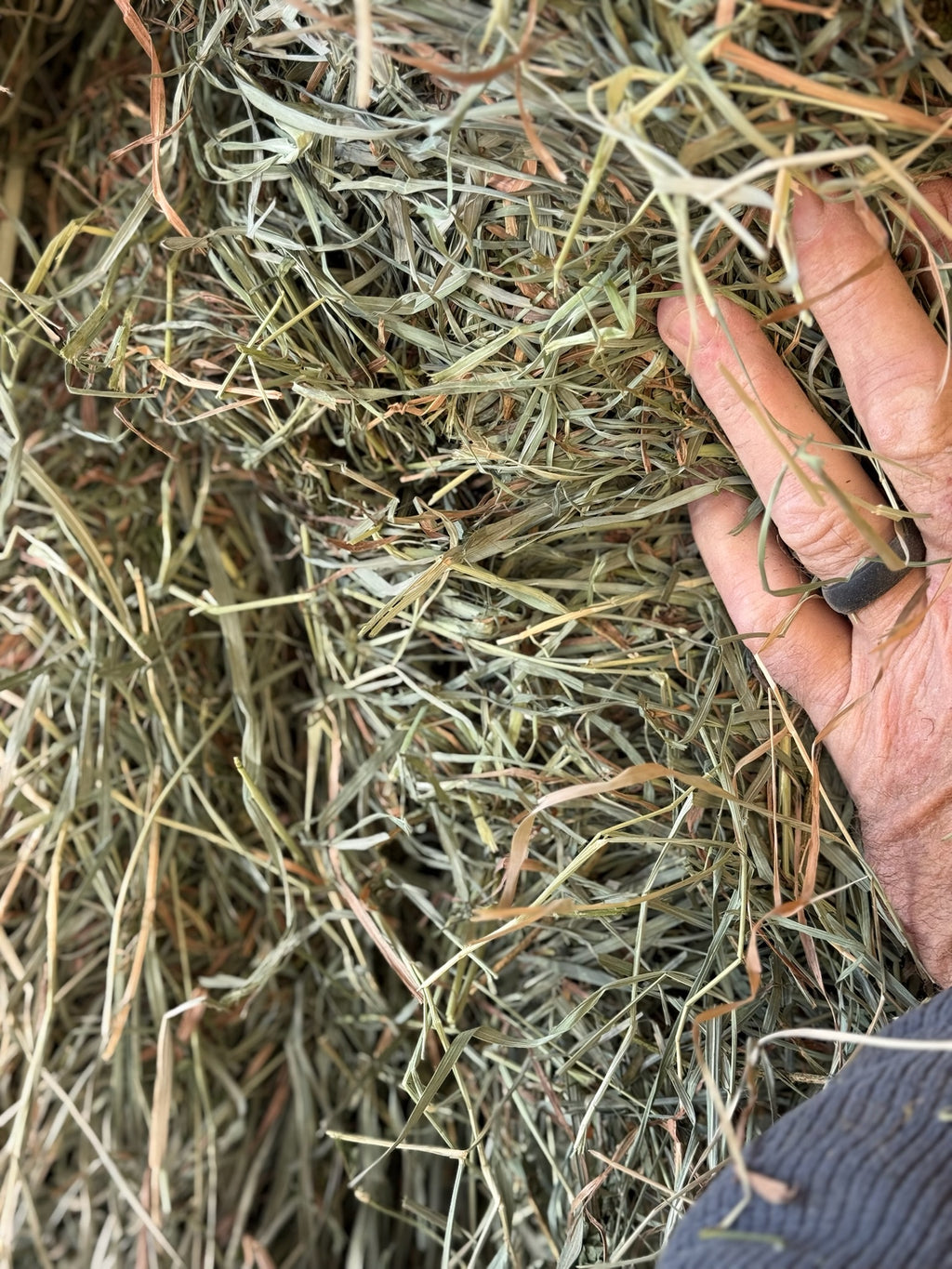 T001 - Premium Mixed Grass