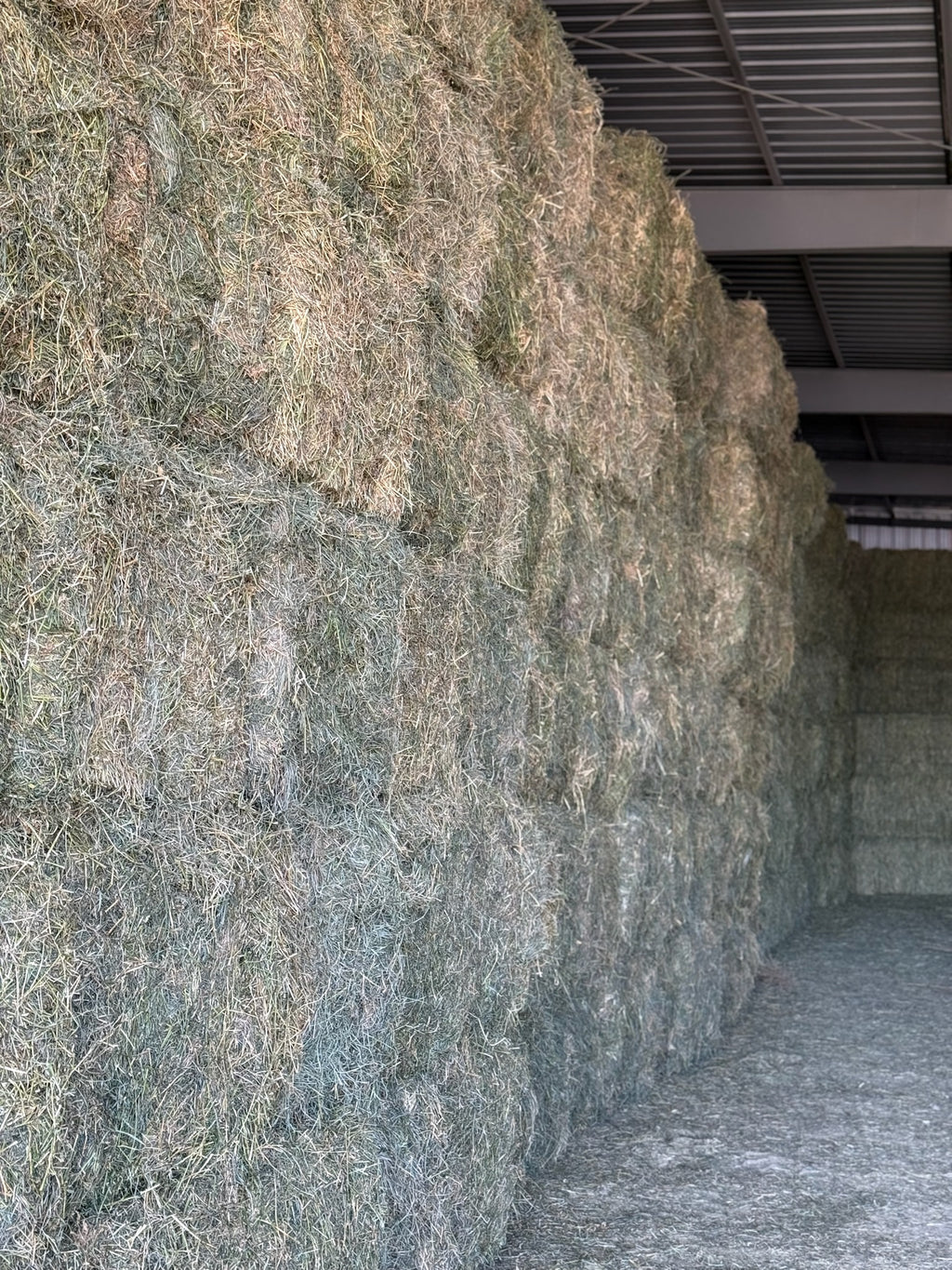 T002 - Premium Mixed Grass