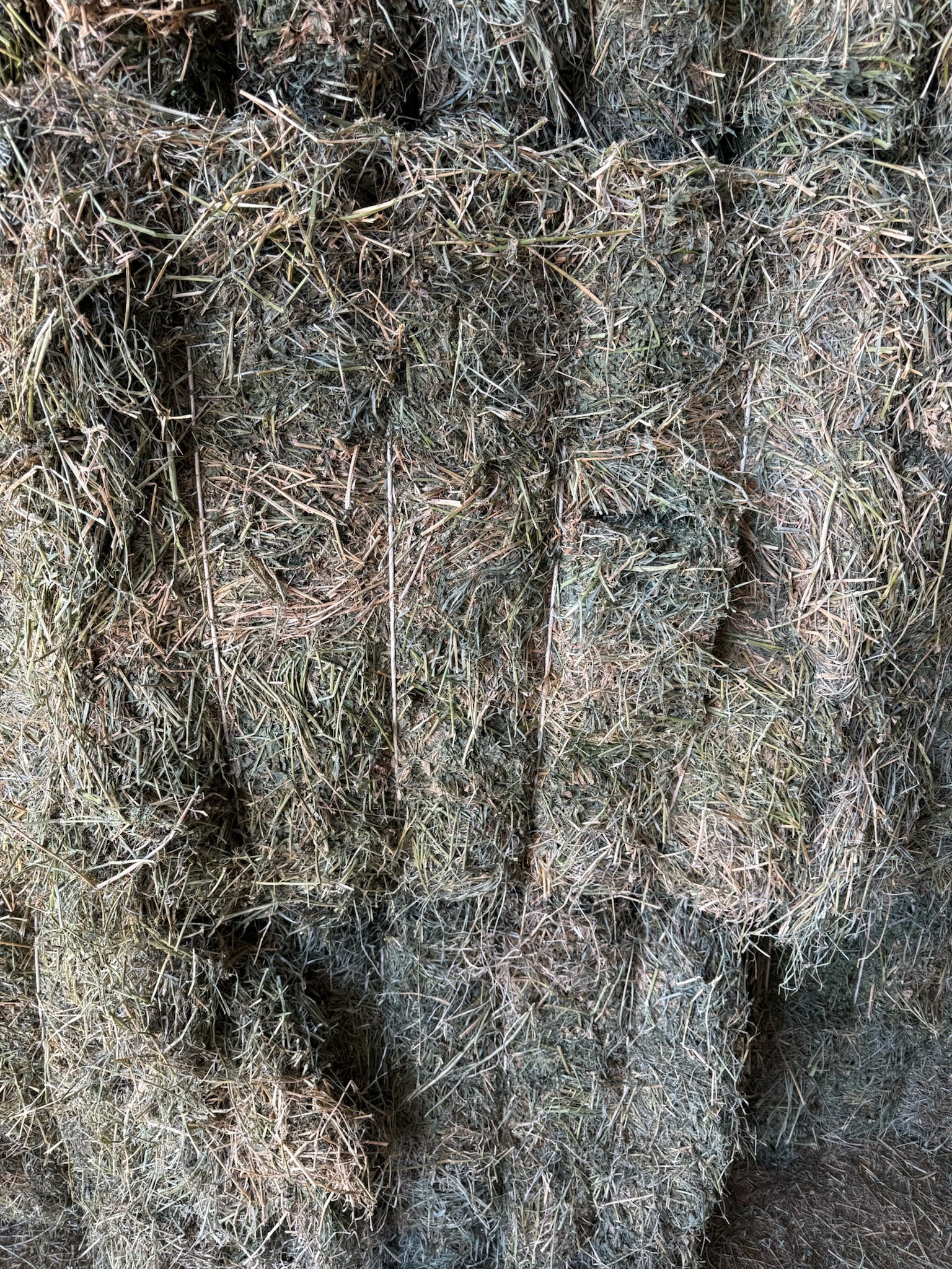 T002 - Premium Mixed Grass