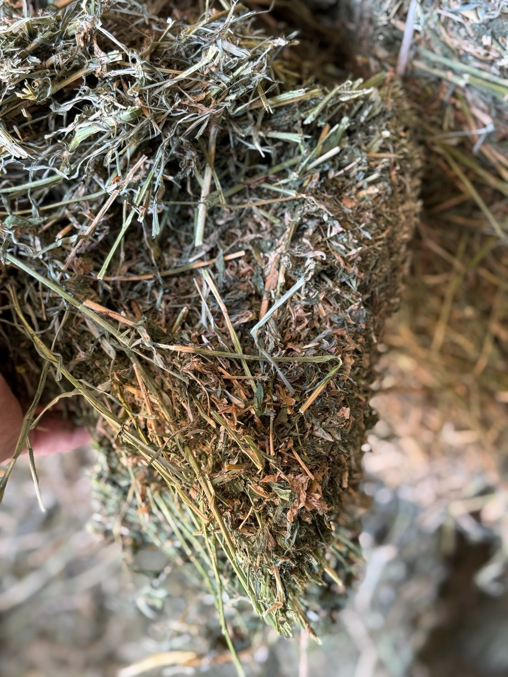 T002 - Premium Mixed Grass